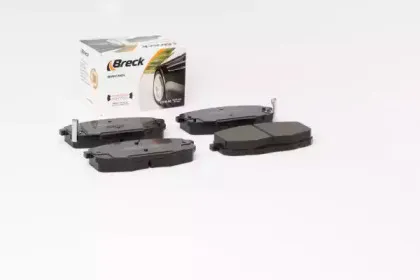 breck-239660070110